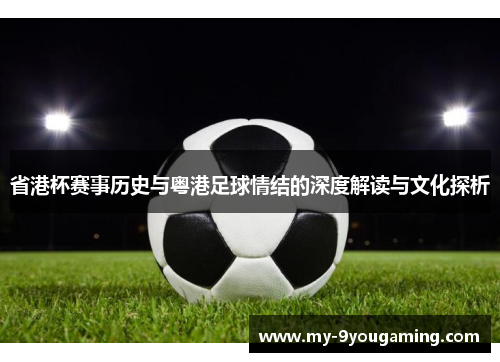 省港杯赛事历史与粤港足球情结的深度解读与文化探析