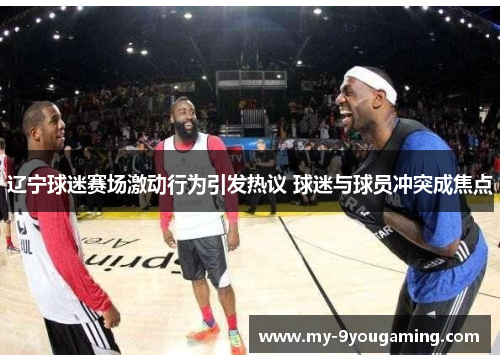 辽宁球迷赛场激动行为引发热议 球迷与球员冲突成焦点