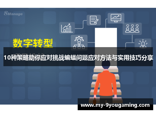 10种策略助你应对挑战蝙蝠问题应对方法与实用技巧分享