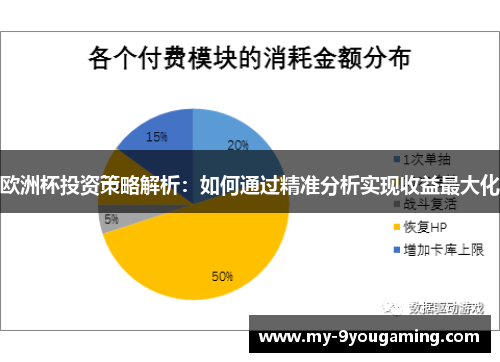 欧洲杯投资策略解析：如何通过精准分析实现收益最大化