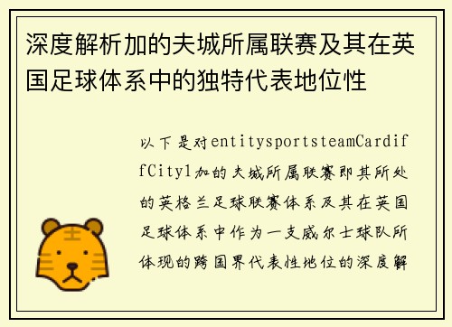 深度解析加的夫城所属联赛及其在英国足球体系中的独特代表地位性